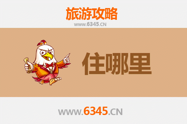 漳州平和旅游民宿全攻略：沉浸式体验闽南风情与自然之美